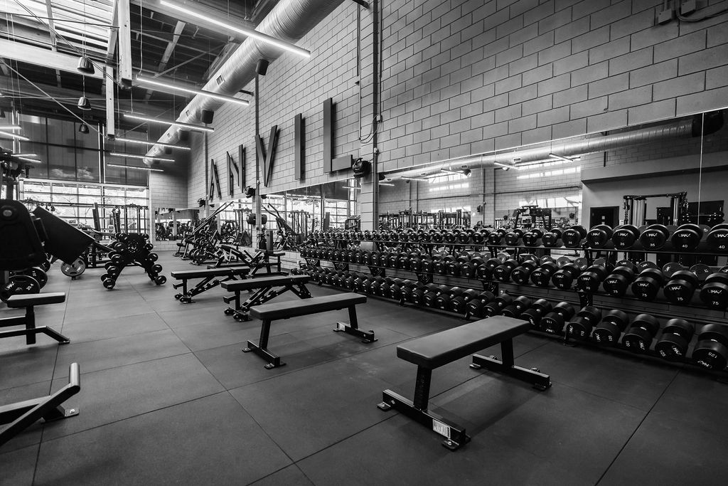 Dumbbell racks and training benches along the mirrored wall