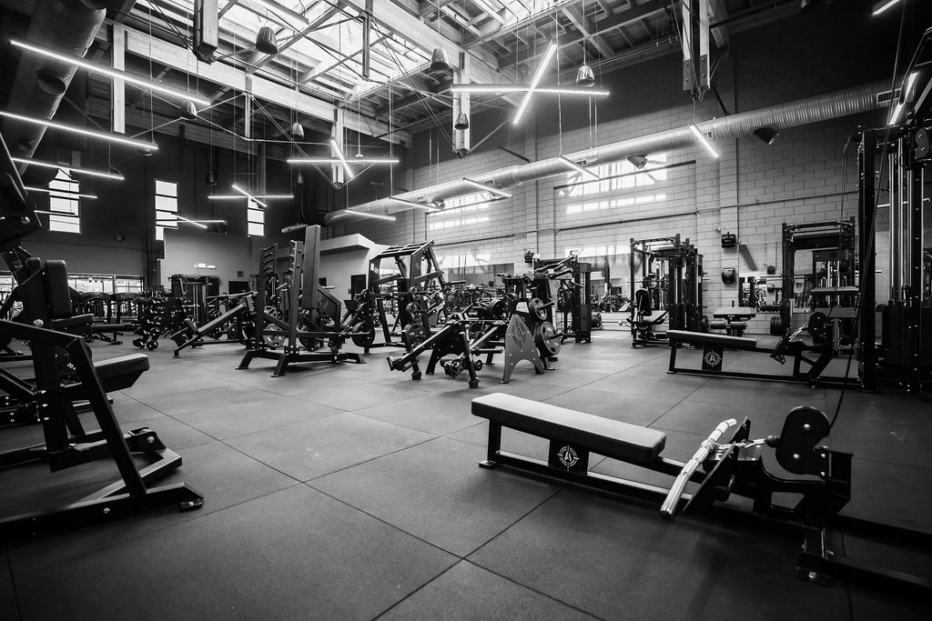 The high-ceilinged strength floor with skylights and training stations